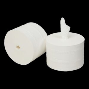 Toiletpapier coreless 2-laags 900 vel